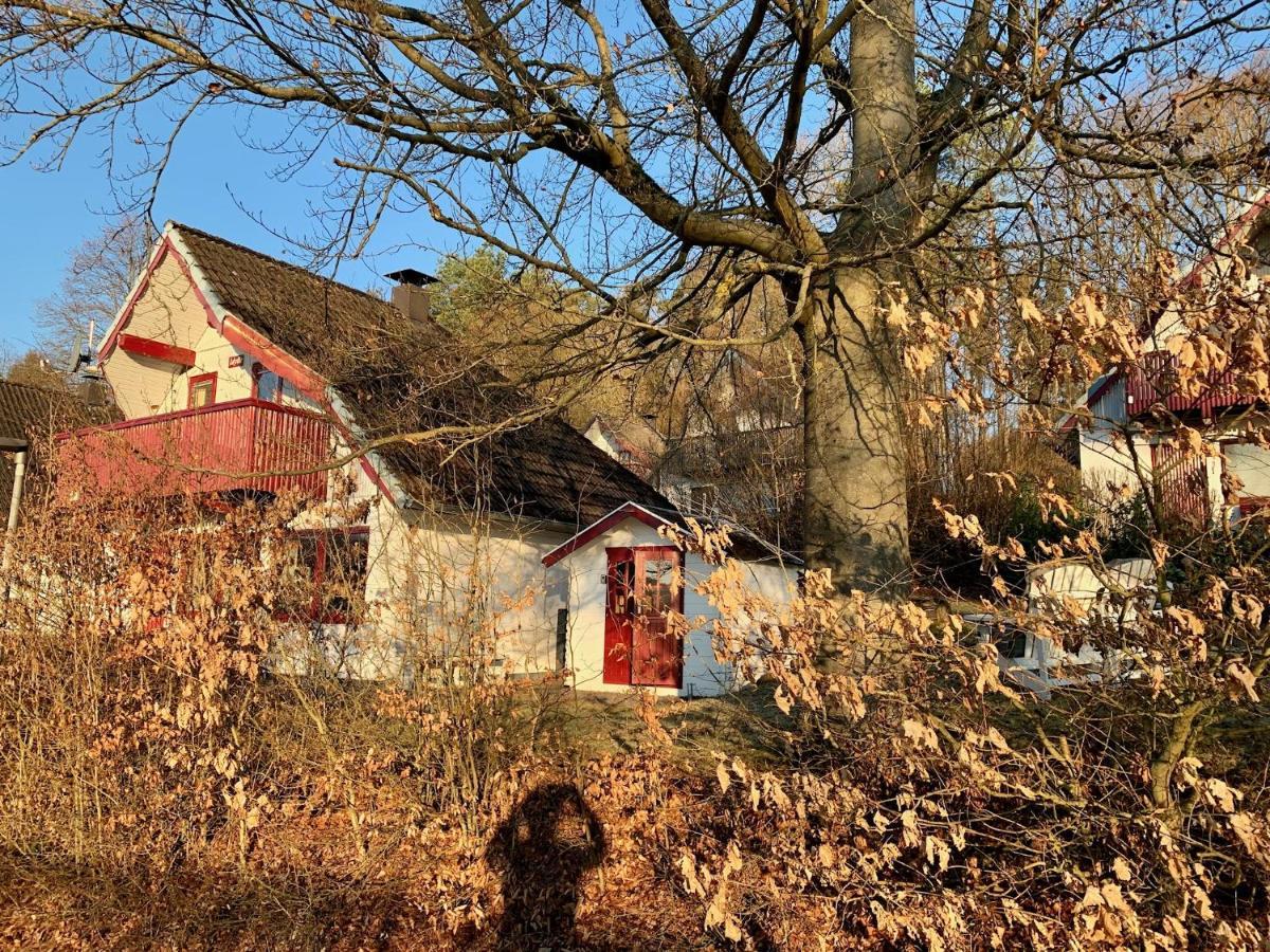 Idylle Seepark - Haus Mit Pool Und Fasssauna Kirchheim unter Teck Zewnętrze zdjęcie