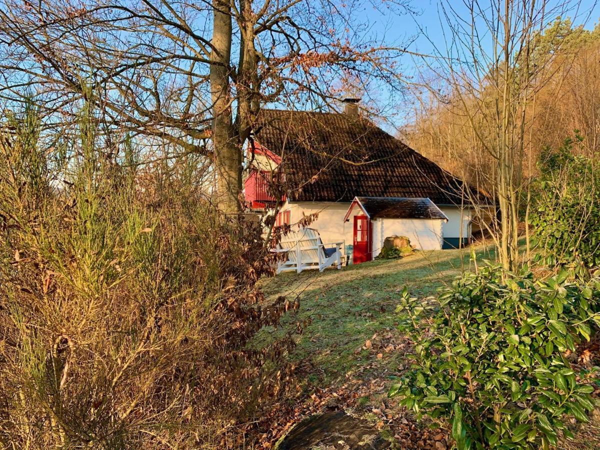Idylle Seepark - Haus Mit Pool Und Fasssauna Kirchheim unter Teck Zewnętrze zdjęcie